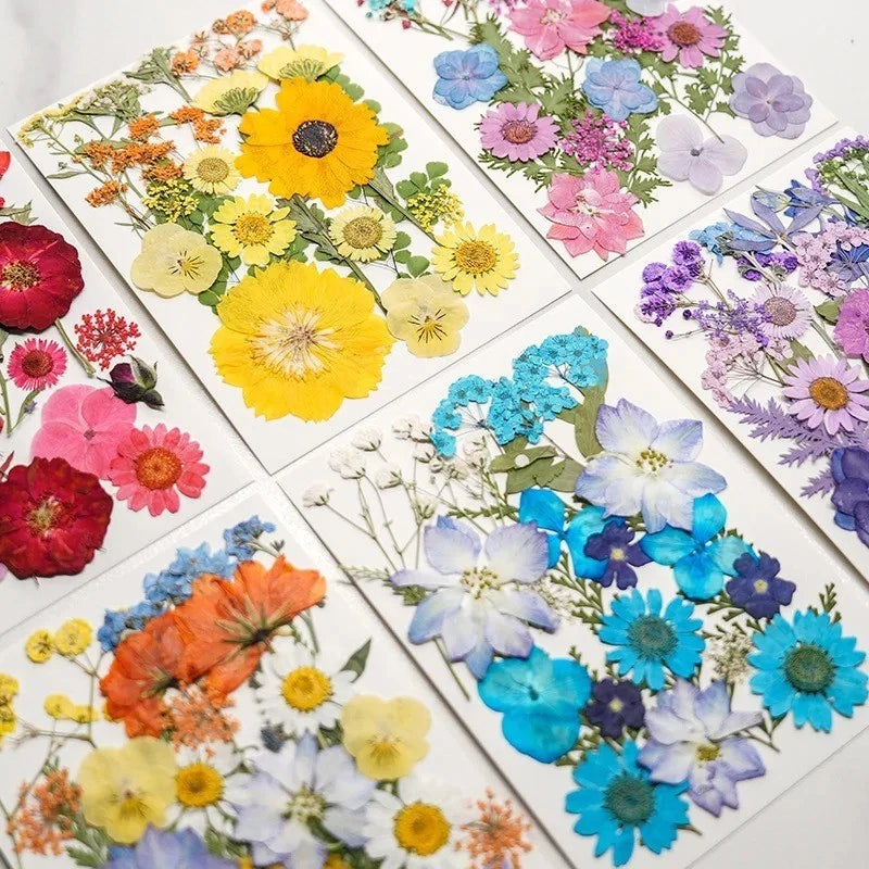 Pressed dried flowers assortment in bright colors for resin craft, phone case DIY