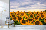3D Sky Sunflower Flower Field Self-adhesive Removable Wallpaper Murals Wall Sunflower