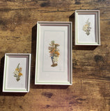 3 Vintage Pressed Flower Pictures Framed Wall Hanging Art Petite Set of 3 Dried Flower
