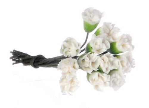 Miniature white carnation bouquet with green stems and small clustered flowers