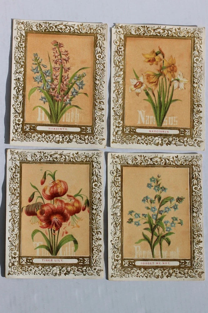 4 Victorian trade cards HYACINTH, NARCISSUS, TIGER LILY, FORGET ME NOT FLOWERS Lily