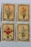 4 Victorian trade cards HYACINTH, NARCISSUS, TIGER LILY, FORGET ME NOT FLOWERS Lily