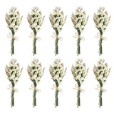 10 Pcs Mini Forget-me-not Dried Flower Bouquet Baby's Breath Boho White Dried Flower
