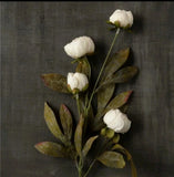 MichaelÕs Ashland Cream Peony Stem YOU CHOOSE QUANTITY bundle save Viral TIK TOK Peony
