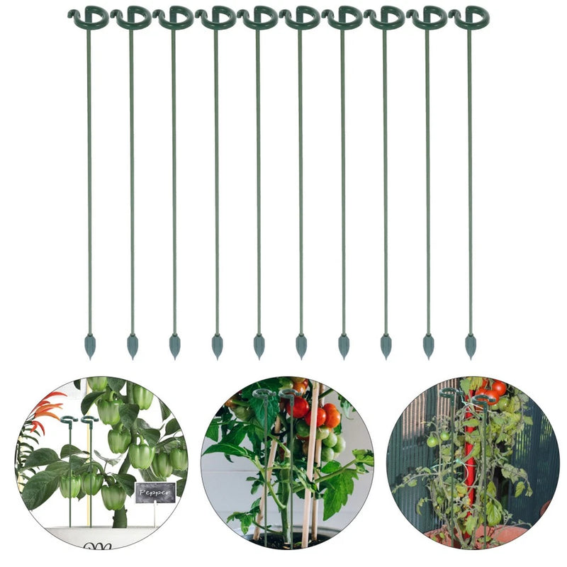 10 Pcs Garden Stakes for Plants Single Stem Flower Orchid Support Rack Garden Plants