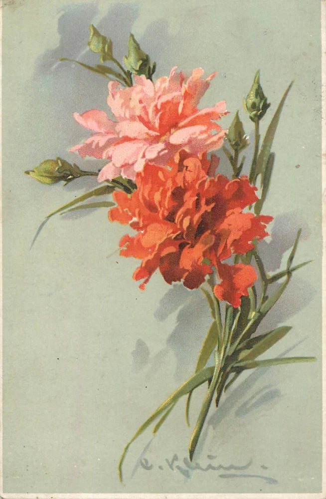 Floral carnation artwork print with pink and red blooms on a light background