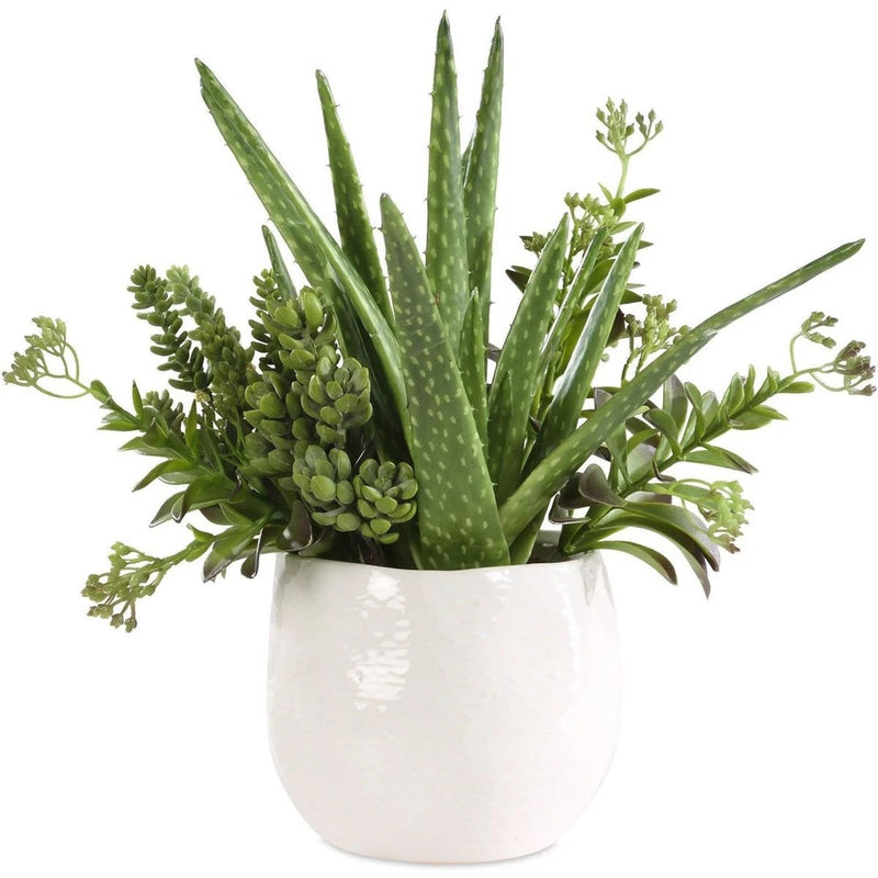 Uttermost 60244 Sundown Succulent Green and White Succulent Accent Planter Green Plant