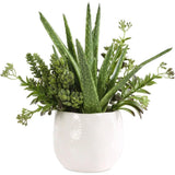 Uttermost 60244 Sundown Succulent Green and White Succulent Accent Planter Green Plant