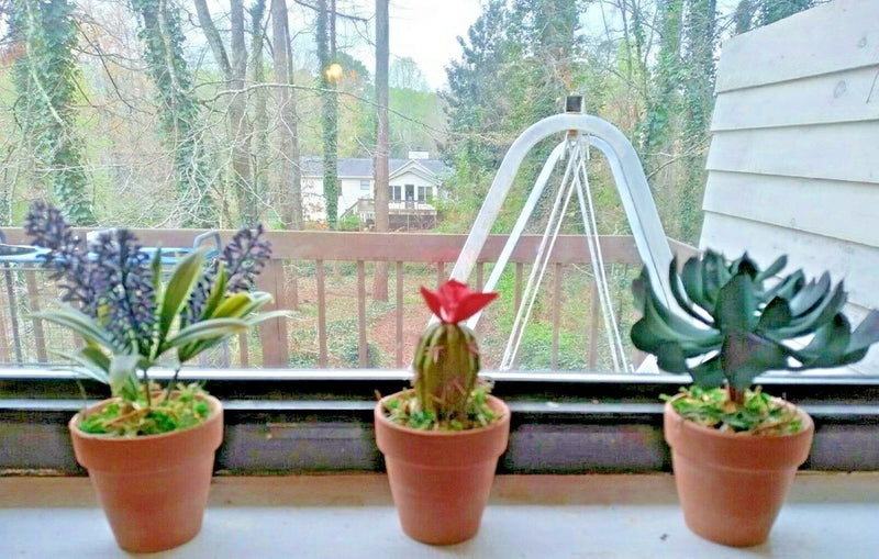NEW Artificial Succulent Plants with Natural Clay Pot 3pcs Green Plant