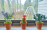 NEW Artificial Succulent Plants with Natural Clay Pot 3pcs Green Plant