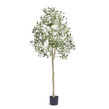 Uimoso 5 FT Artificial Olive Tree Tall Green Faux Plant with Natural Appearance Green Plant