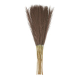 20pcs Dried Faux Pampas Grass 21" Artificial Pampas Grass Decor Dark Coffee Pampas Grass