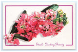 Hydrangea Pink Flower Painting Postcard Hydrangea