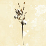 45 Cm Tall Dried Flowers Large Artificial Cotton Stems Decoration Dried Flower