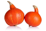 25+ Ambercup Squash Seeds for Garden Planting - USA - FREE SHIPPING! Garden Plants