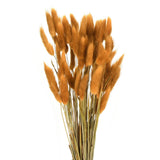 60pcs Natural Bunny Tails Dried Flowers 17" Mini Grass, Orange Red Dried Flower