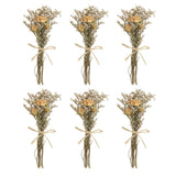 6 Pcs Mini Rose Dried Flower Bouquet Baby's Breath Boho DIY Gift Cream Dried Flower