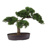 Pemberly Row 16" Cedar Bonsai Silk Plant with Exposed Roots in Green/Black Green Plant