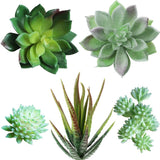 Supla 5 Pcs Assorted Artificial Succulents Plants Unpotted Small Green Cactus Green Plant