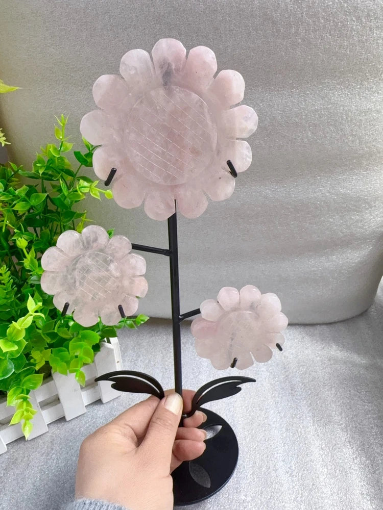 Rose quartz carved sunflower flowers set on black stand, three pale pink blooms