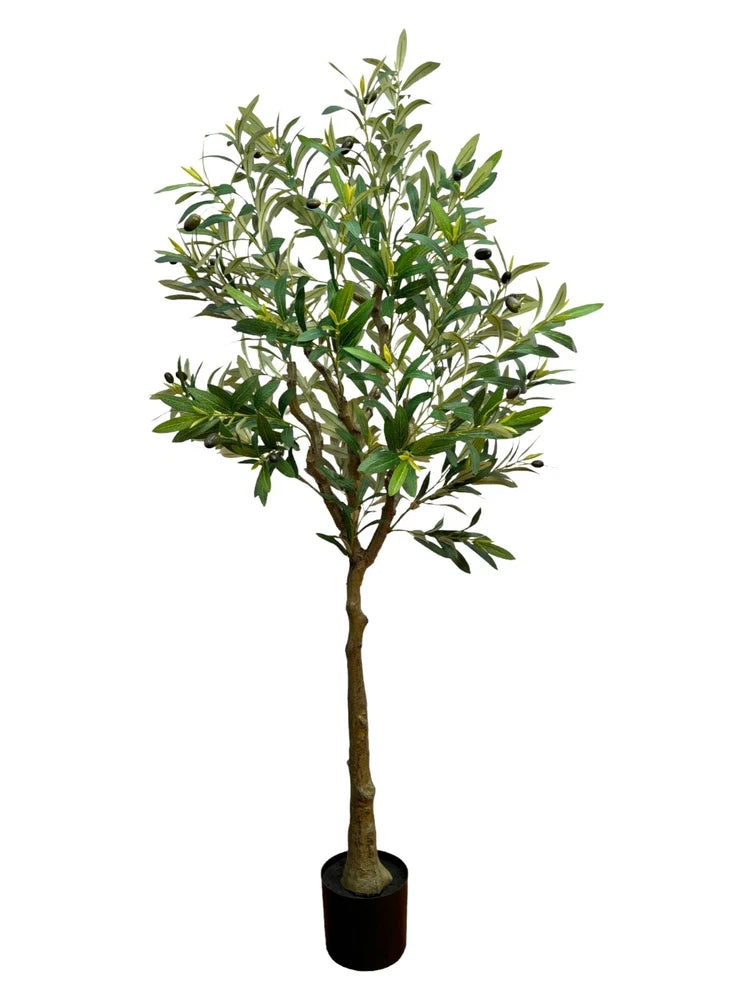 Wildwood & Cypress 60Ó Realistic Olive Tree Variegated Foliage Faux Indoor Plant Green Plant