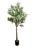Wildwood & Cypress 60Ó Realistic Olive Tree Variegated Foliage Faux Indoor Plant Green Plant