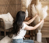 Large Pampas Grass/Pompas, 3pcs Pampas Grass Decor, 60cm White Pampas Grass