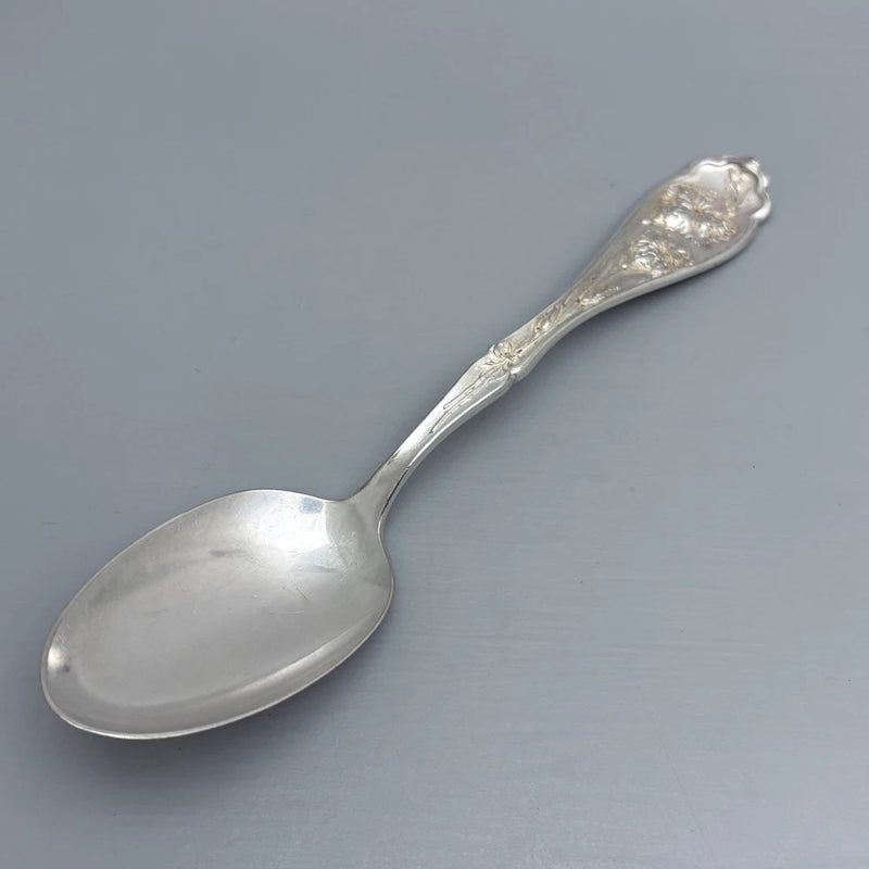WR Keystone 1908 CARNATION Silverplate Place/Oval Soup Spoon Carnation