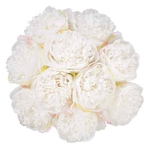 2 Bouquet 10 Heads Artificial Peony Silk Flower Leaf Home Office 10pcs White Peony