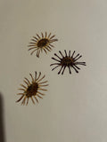 Pressed Dried Flowers All Natural Not Dyed Or Coloured Daisy Pinwheel Dried Flower