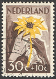 Netherlands 1949,  Sunflower, NIWIN, 30 cent, used, VF Sunflower