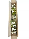 Michael's Ashland Cream Peony Stems Set of 8 New Peony