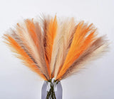 Artificial Pampas Grass Bouquets,12pcs 23Inch,Orange Home Decor,Orange Pampas Grass