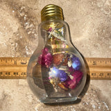 Real dried flowers Glass Lightbulb Jar with A Screw Lid Unique Dried Flower