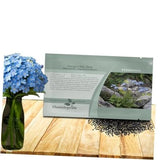 Blue Forget Me Not Seeds - 5000 Pcs Low Growing, Self-Sowing 5000 Seeds Garden Plants