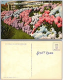 Hydrangeas Flower Garden Seashore Fence Pink Blue Postcard Hydrangea