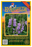 400 Obedient Plant Wildflower Seeds - Everwilde Farms Mylar Seed Packet Flowering Plants