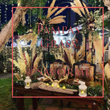 10 + 2 Pampas Grass Natural Wedding Decor CA, USA. 2ft. Pampas Grass