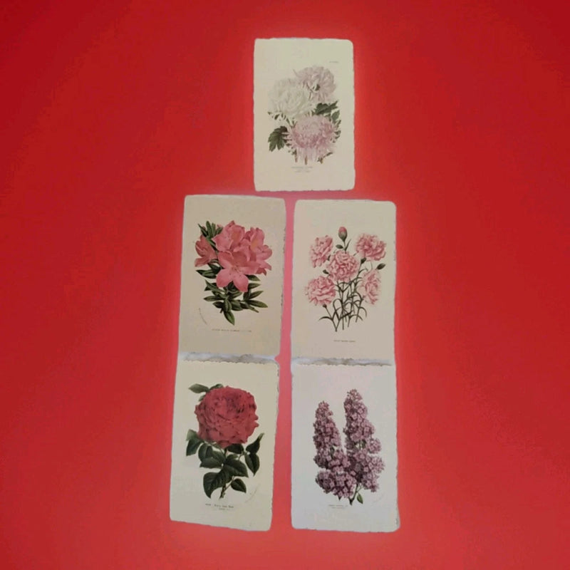 5 Flower Print Postcards Botanicals Decor Rose Lilac Carnations Azalea Mums Art Carnation