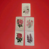 5 Flower Print Postcards Botanicals Decor Rose Lilac Carnations Azalea Mums Art Carnation