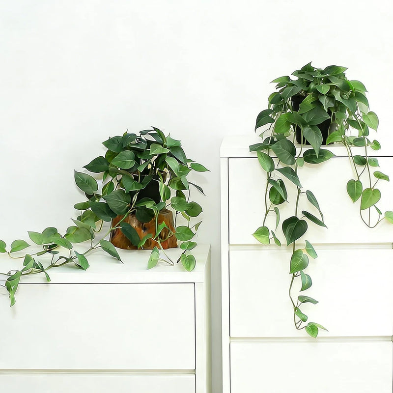 Fake Pothos Hanging Plants with Pots, 33.5" Set of 2 Faux Ivy Vines, Realistic S Green Plant