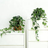 Fake Pothos Hanging Plants with Pots, 33.5" Set of 2 Faux Ivy Vines, Realistic S Green Plant
