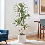 Artificial Dracaena Plant Indoor Home Decor Realistic Faux Greenery Pot Plant US Green Plant