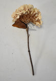 Tremont 13" Dried Hydrangea Floral Home Decor Flower Ivory Autumn FS61198-028 Dried Flower