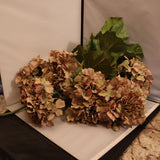 Six Lovely Pink/Blue/Purple Hydrangea Stems Ð Large Blossoms Plus Stem of Leaves Hydrangea