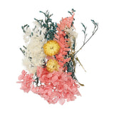 NaturalÊDriedÊFlowerÊSet,ÊDriedÊPressedÊFlowers (Orange+Blue) Dried Flower