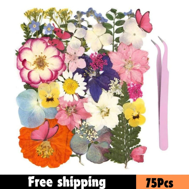 75Pcs Natural Pressed Dried Flowers & Butterfly Kit Ð Real Dried Flowers for Res Dried Flower