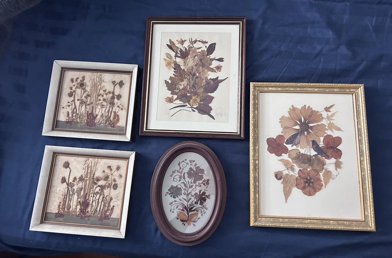 Set of five vintage framed pressed flower botanical prints, various frame styles and colors