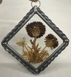 Dried Pressed Flowers Framed Glass Vintage Hanging Decor Lasting Impressions USA Dried Flower