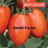 50+ Seeds Roma Grande Tomato Hybrid Juicy Easy to Grow Vegetable Garden Garden Plants